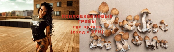 прущий лед Арсеньев