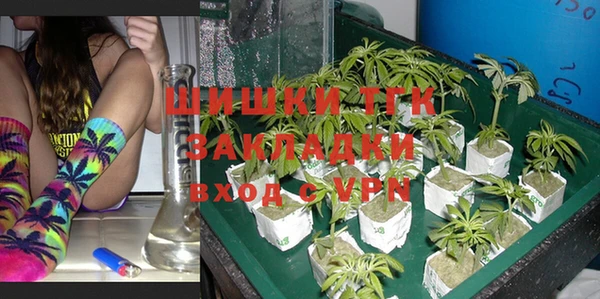 не бодяженный Новодвинск