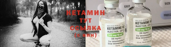 крисы Алзамай