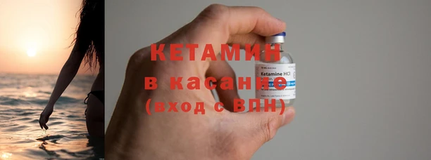 крисы Алзамай