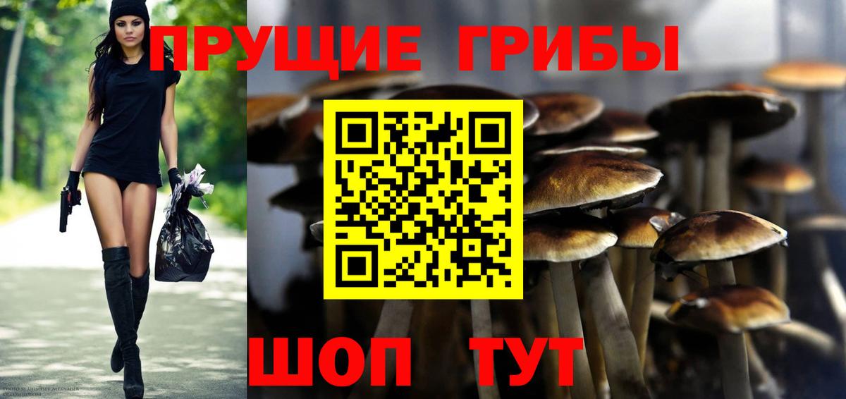 Томск  Псилоцибиновые грибы GOLDEN TEACHER  Вход с VPN 